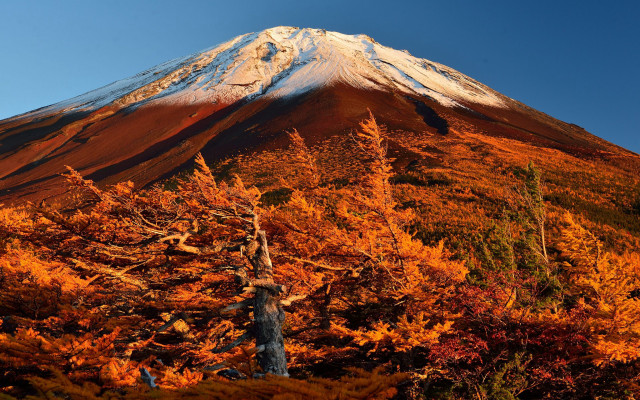 Mountain autumn leaves fire sky free wallpaper - medium preview image