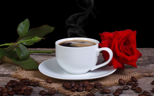 Coffee rose stilllife food morning free wallpaper - medium preview image