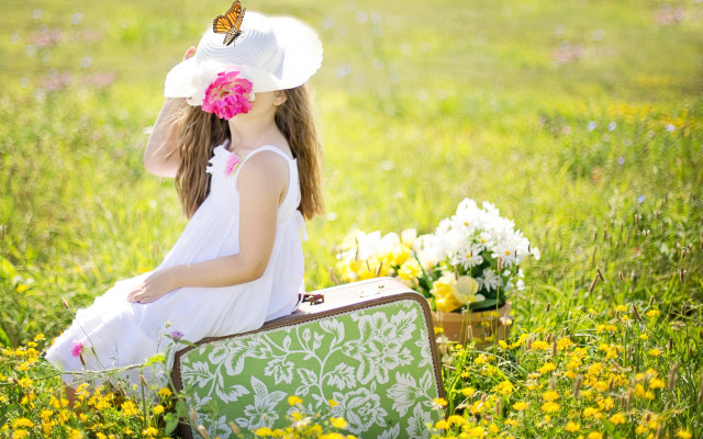 Little girl field suitcase butterfly free wallpaper - medium preview image