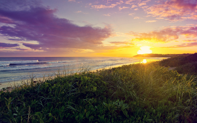 Sunset beach surfboard grassy horizon free wallpaper - medium preview image
