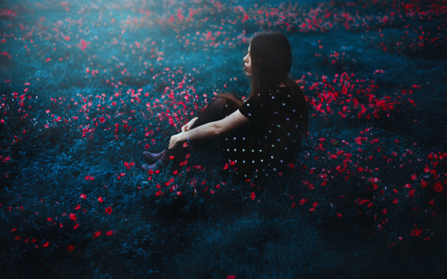 Woman flower field sky light free wallpaper - medium preview image