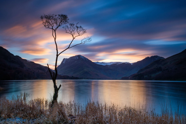 Lone tree lake sunset mountains #2 free wallpaper - medium preview image