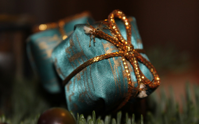 Blue present green branch bow free wallpaper - medium preview image