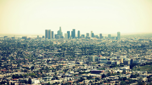 City trees sunset skyline bridge free wallpaper - medium preview image