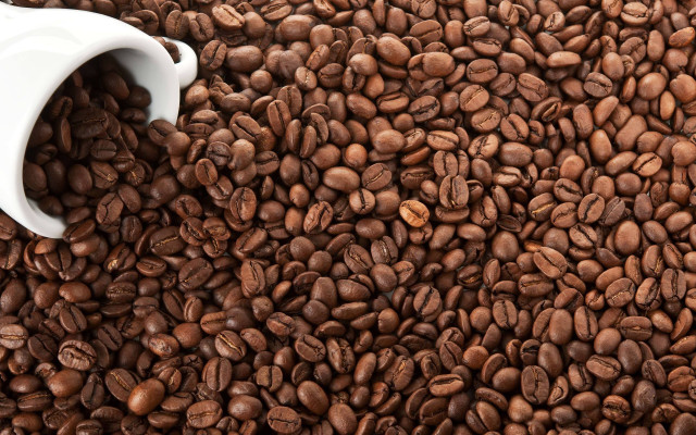 Coffee cup on spilled beans free wallpaper - medium preview image