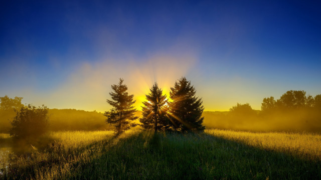 Field trees sunset fog blue free wallpaper - medium preview image