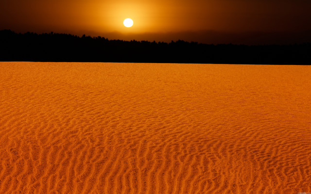 Sunset sandy trees orange sky free wallpaper - medium preview image
