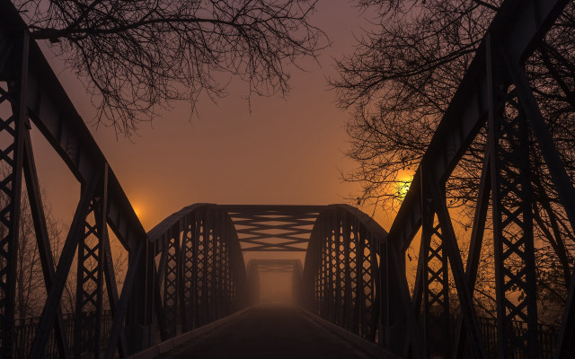 Bridge light fog night trees free wallpaper - medium preview image