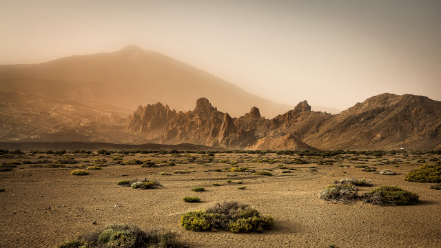 Desert mountain bushes sunset ocean free wallpaper - medium preview image