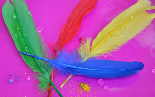 Feathers water droplets colorful planet free wallpaper - medium preview image