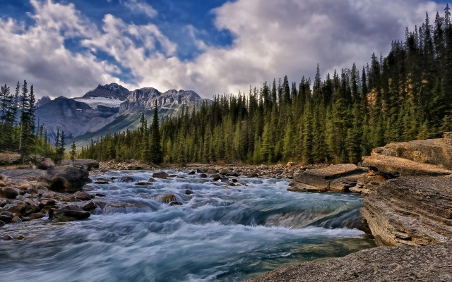 River forest rocks trees mountain #3 free wallpaper - medium preview image