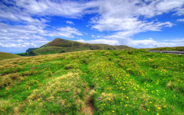 Grassy field yellow flowers mountain free wallpaper - medium preview image