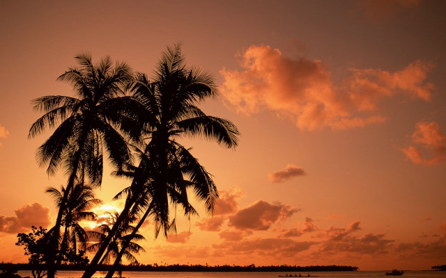 Sunset ocean palm tree boat #3 free wallpaper - medium preview image