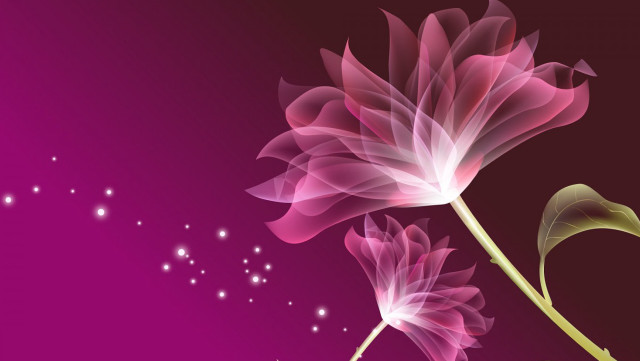 Pink flower stem purple background free wallpaper - medium preview image