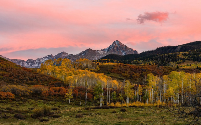 Mountain range pink sky trees free wallpaper for desktop - medium preview image