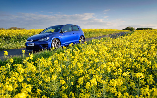 Blue car field summer autumn free wallpaper - medium preview image