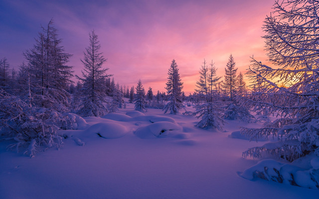 Snowy landscape trees sunset clouds #6 free wallpaper - medium preview image