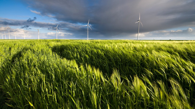 Green field wind turbines blue free wallpaper - medium preview image