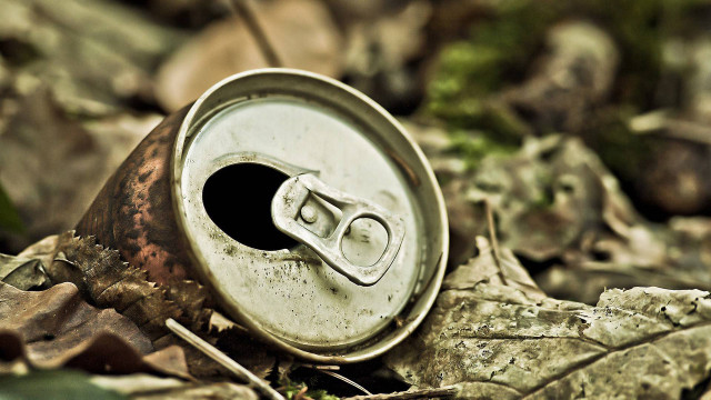 Soda can woods leaves hole free wallpaper - medium preview image