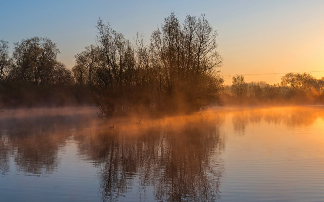 Lake fog mountains sunset birds free wallpaper - medium preview image