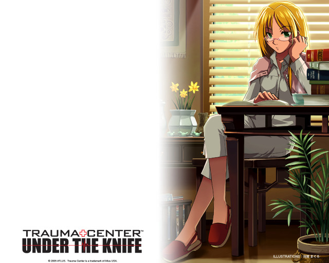 Woman sitting desk laptop plant free wallpaper - medium preview image