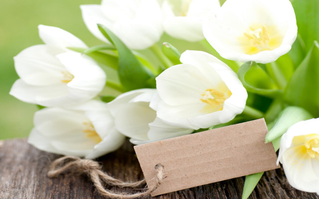 White flowers daisy lily vase free wallpaper - medium preview image