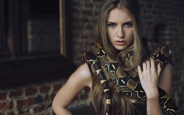Blonde woman snake brick wall free wallpaper - medium preview image