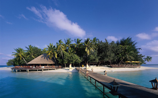 Dock beach hut palm trees free wallpaper - medium preview image