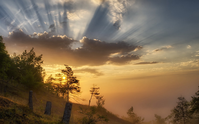 Sunset fence trees hill clouds free wallpaper - medium preview image