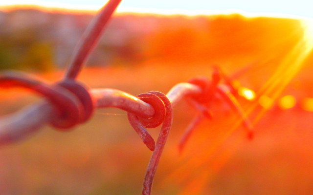 Barbed wire sunlight autumn fire free wallpaper - medium preview image