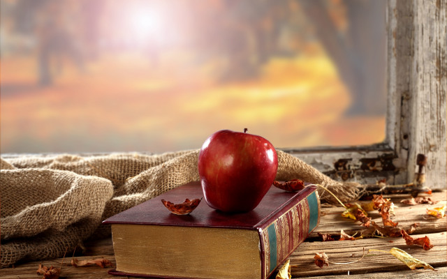 Apple book table window curtain free wallpaper - medium preview image