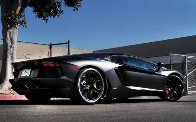 Black sports car fenced tree free wallpaper - medium preview image