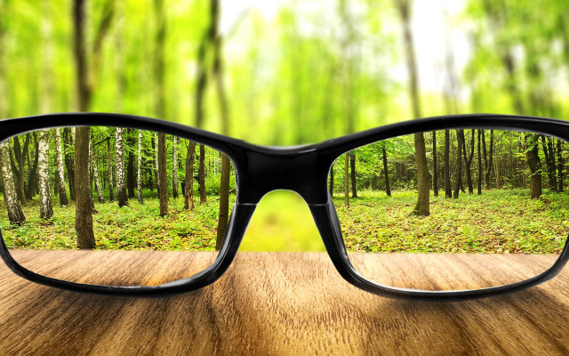 Glasses wooden table forest trees free wallpaper - medium preview image