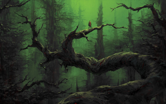 Bird perched tree branch forest #2 free wallpaper - medium preview image