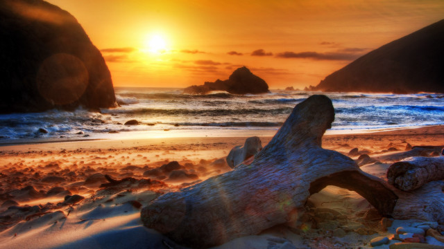 Beach log sunset rocks water free wallpaper - medium preview image