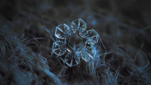 Snowflake grass night macro water free wallpaper - medium preview image