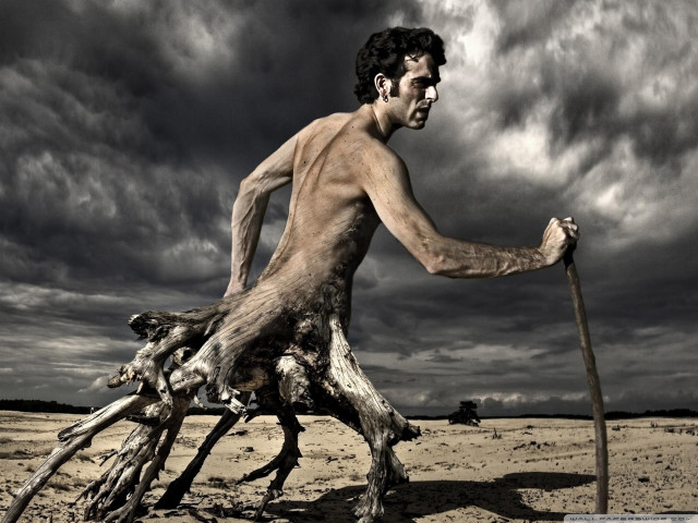 Man stick tree stump desert free wallpaper - medium preview image