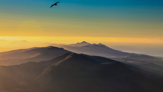 Bird mountain sunset ocean sky free wallpaper - medium preview image