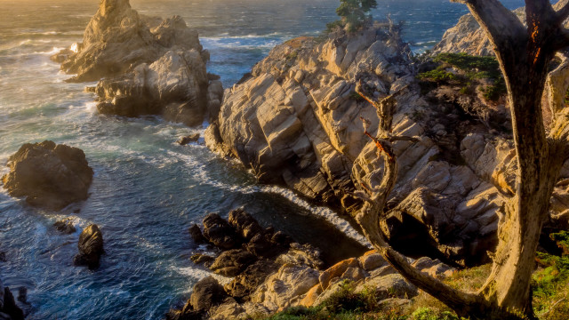 Rocky cliff water trees landscape free wallpaper - medium preview image