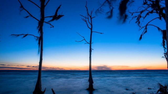 Sunset water trees clouds beach free wallpaper - medium preview image