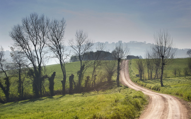 Dirt road green field forest #2 free wallpaper - medium preview image