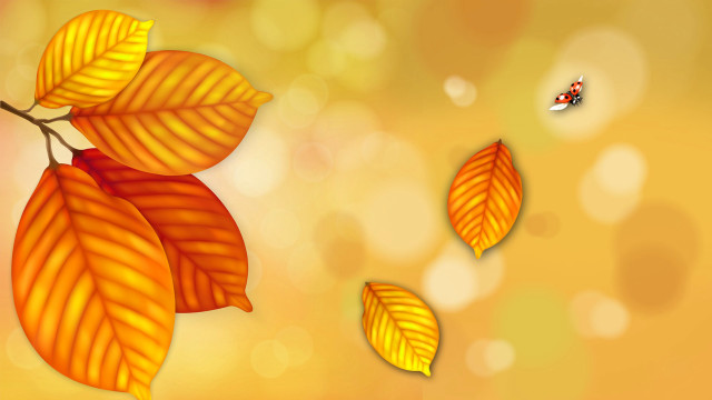Ladybug flying over leaves autumn free wallpaper - medium preview image