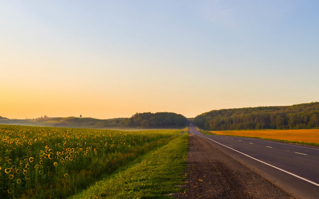 Sunflower road hill mountain beach free wallpaper - medium preview image
