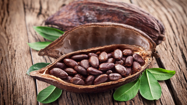 Seed pod wooden table leaves free wallpaper - medium preview image