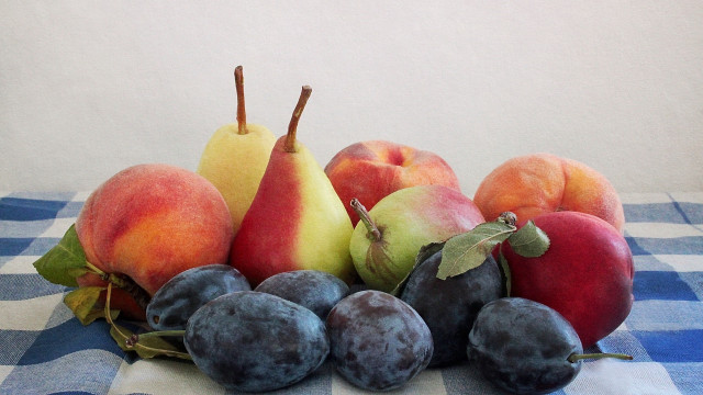 Fruit tablecloth blue white checkered free wallpaper - medium preview image