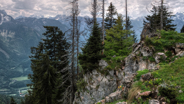 Mountain trees valley nature matte free wallpaper - medium preview image