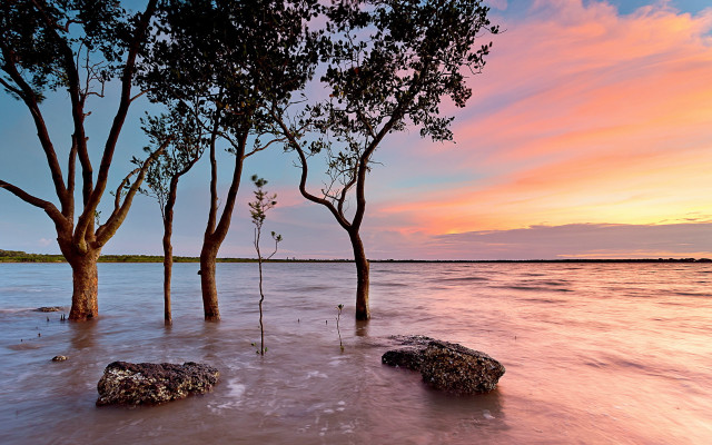 Trees water lake sunset autumn free wallpaper - medium preview image