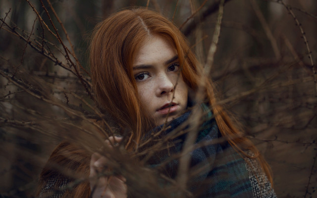 Woman red hair field portrait free wallpaper - medium preview image