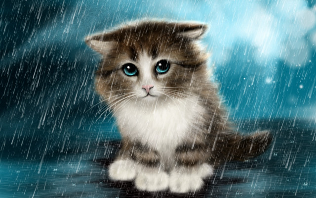 Black cat blue eyes rainy #2 free wallpaper - medium preview image