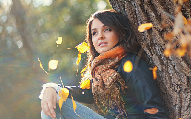 Woman sitting tree autumn leaves free wallpaper - medium preview image